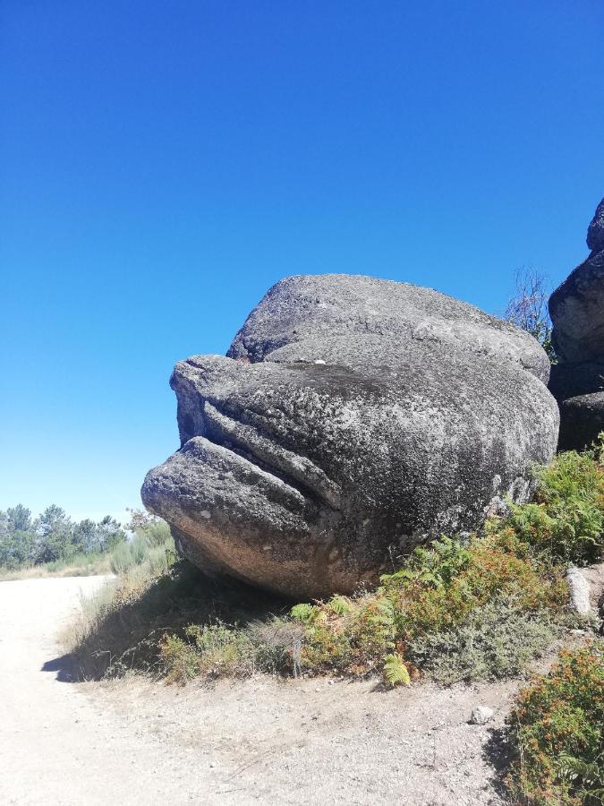 Sambuc'Asa - Serra Da Estrela Sabugueiro  Exteriér fotografie